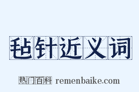 毡针近义词是什么意思的图片